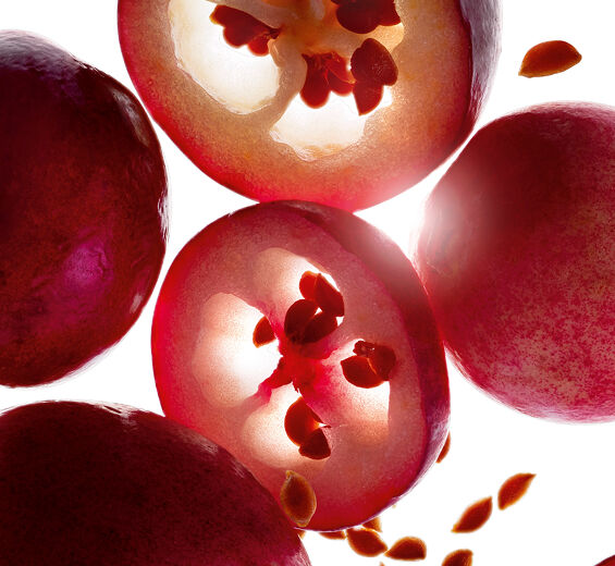 Arándano rojo-Aceite de arándano rojo bio-Vaccinium macrocarpon (cranberry) seed oil