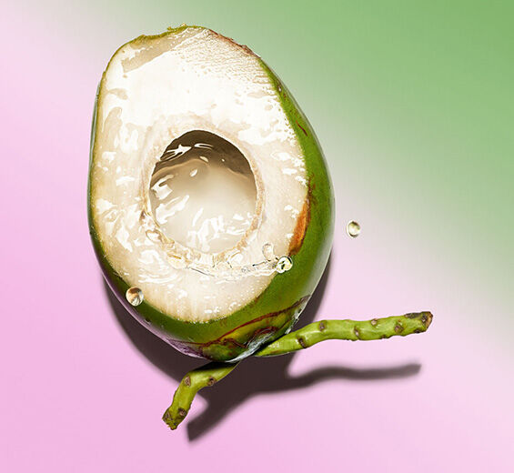 Cocotero-Aceite de coco-Cocos nucifera (Coconut) oil