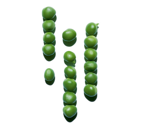Guisante-Extracto de guisante-Pisum sativum (pea) extract