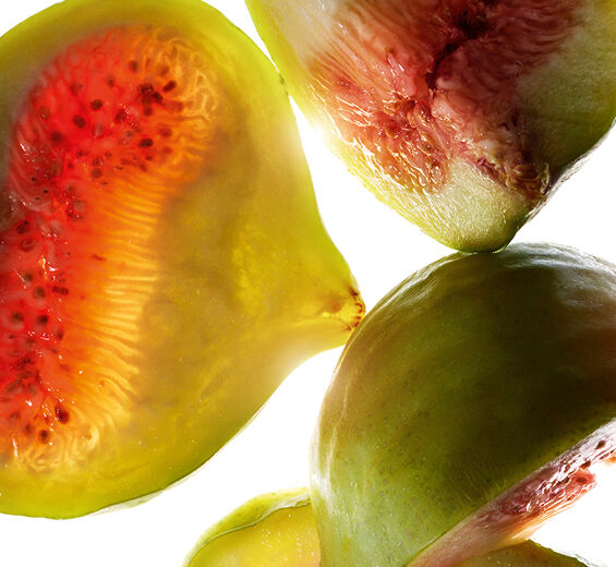 Higuera-Extracto de higo-Ficus carica (fig) fruit extract