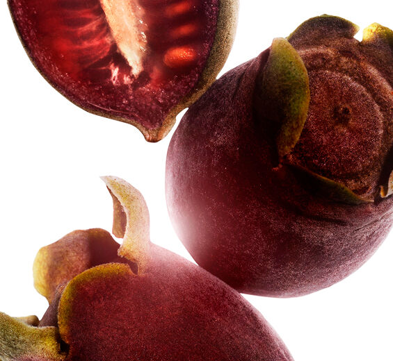 Rose-Myrtle-Extracto de rose-myrtle-Rhodomyrtus tomentosa fruit extract
