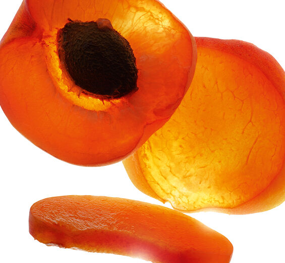 Albaricoquero-Aceite de albaricoque bio-Prunus armeniaca (apricot) kernel oil
