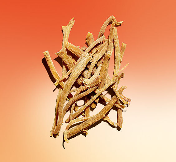 Ginseng-Extracto de ginseng-Panax ginseng root extract