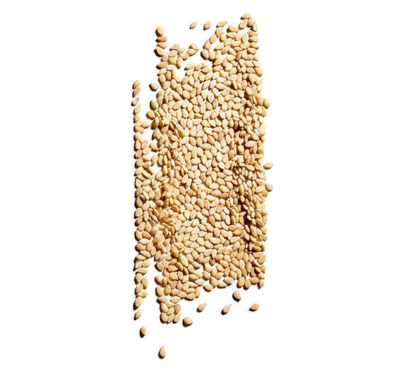Sésamo-Aceite de sésamo bio-Sesamum indicum (sesame) seed oil