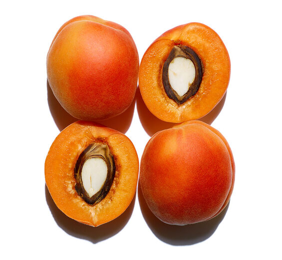Albaricoquero-Aceite de albaricoque bio-Prunus armeniaca (apricot) kernel oil