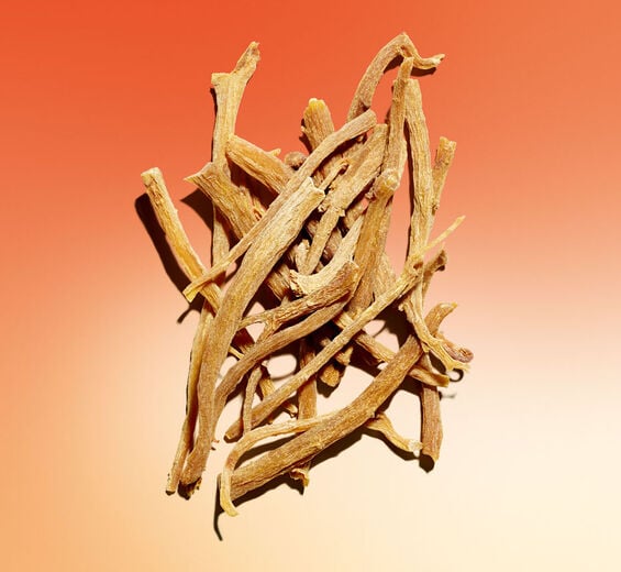 Ginseng-Extracto de ginseng rojo bio-Panax ginseng root extract