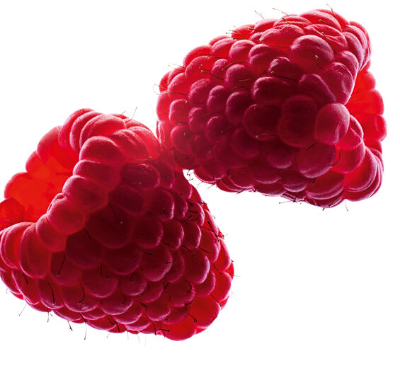 Frambueso-Aceite de frambuesa-Rubus idaeus (raspberry) seed oil
