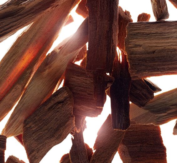 Sándalo-Aceite esencial de sándalo-Santalum album (sandalwood) oil