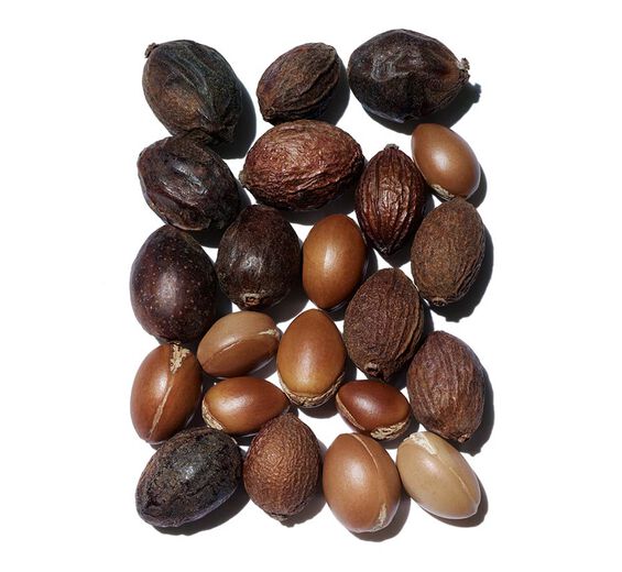 Argán-Aceite de argán bio-Argania spinosa kernel oil