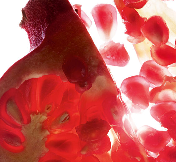 Granado-Extracto de granado (planta bio)-Punica granatum bark extract