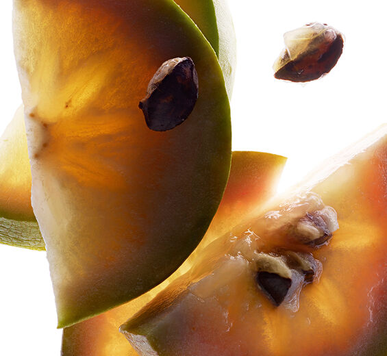 Caimito Caimitero-Extracto de vu sua-Chrysophyllum cainito fruit extract