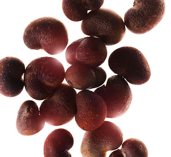 Baobab-Aceite de baobab bio-Adansonia digitata seed oil