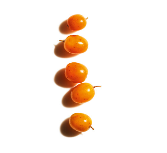 Espino amarillo-Extracto de espino amarillo (planta bio)-Hippophae Rhamnoides Kernel Extract