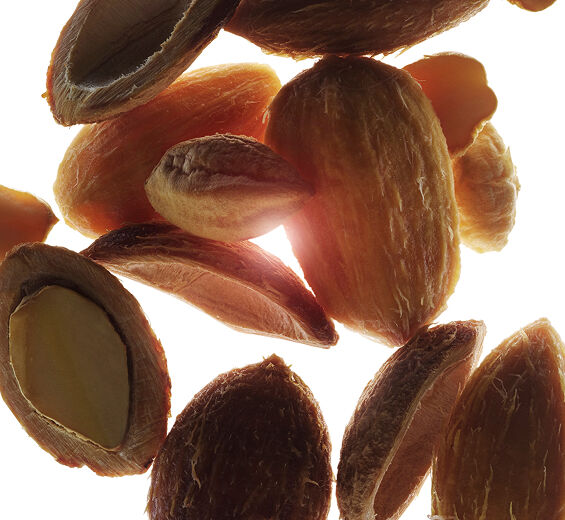 Datilero del desierto-Extracto de datilero del desierto bio-Balanites roxburghii seed oil