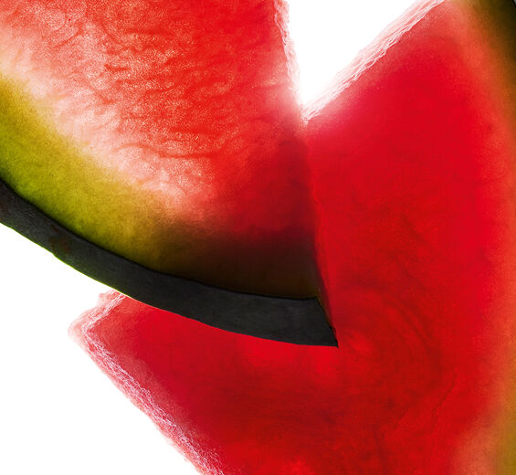 Sandía-Extracto de sandía-Citrullus lanatus (watermelon) fruit extract