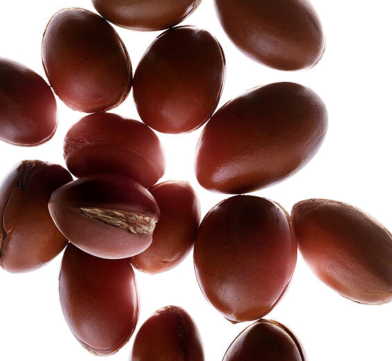 Argán-Aceite de argán bio-Argania spinosa kernel oil