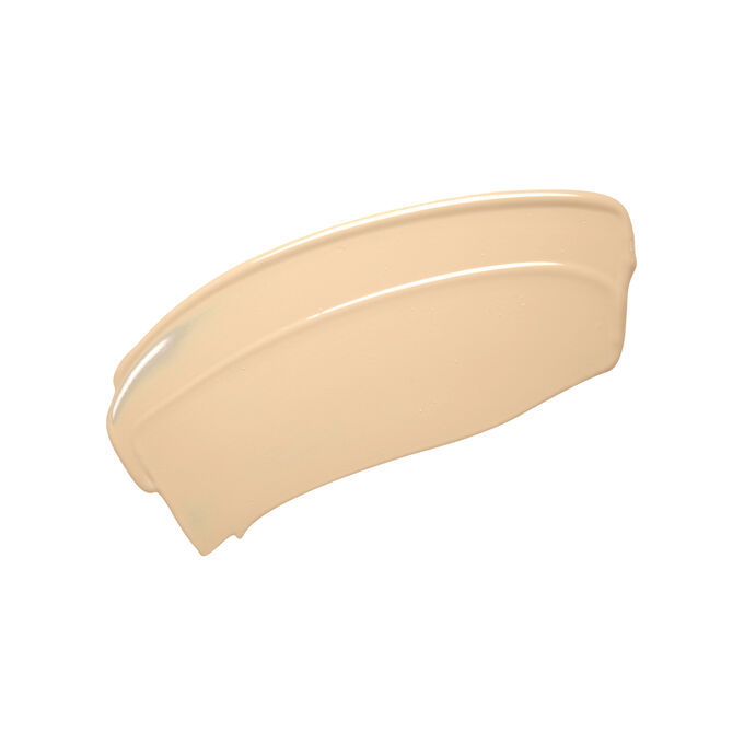 Instant Light Brush-On Perfector