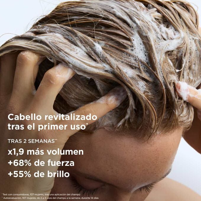 Expert Fortifying- Shampoo para Cabello Fortificante con Pantenol, sin Sulfatos, para mayor Fuerza y Volumen