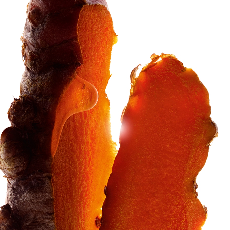 Cúrcuma-Extracto de cúrcuma-Curcuma longa (turmeric) root extract