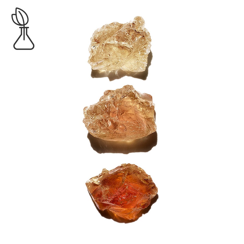 Acacia del Senegal-Micropatch vegetal-Acacia Senegal gum