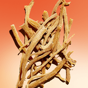 Ginseng