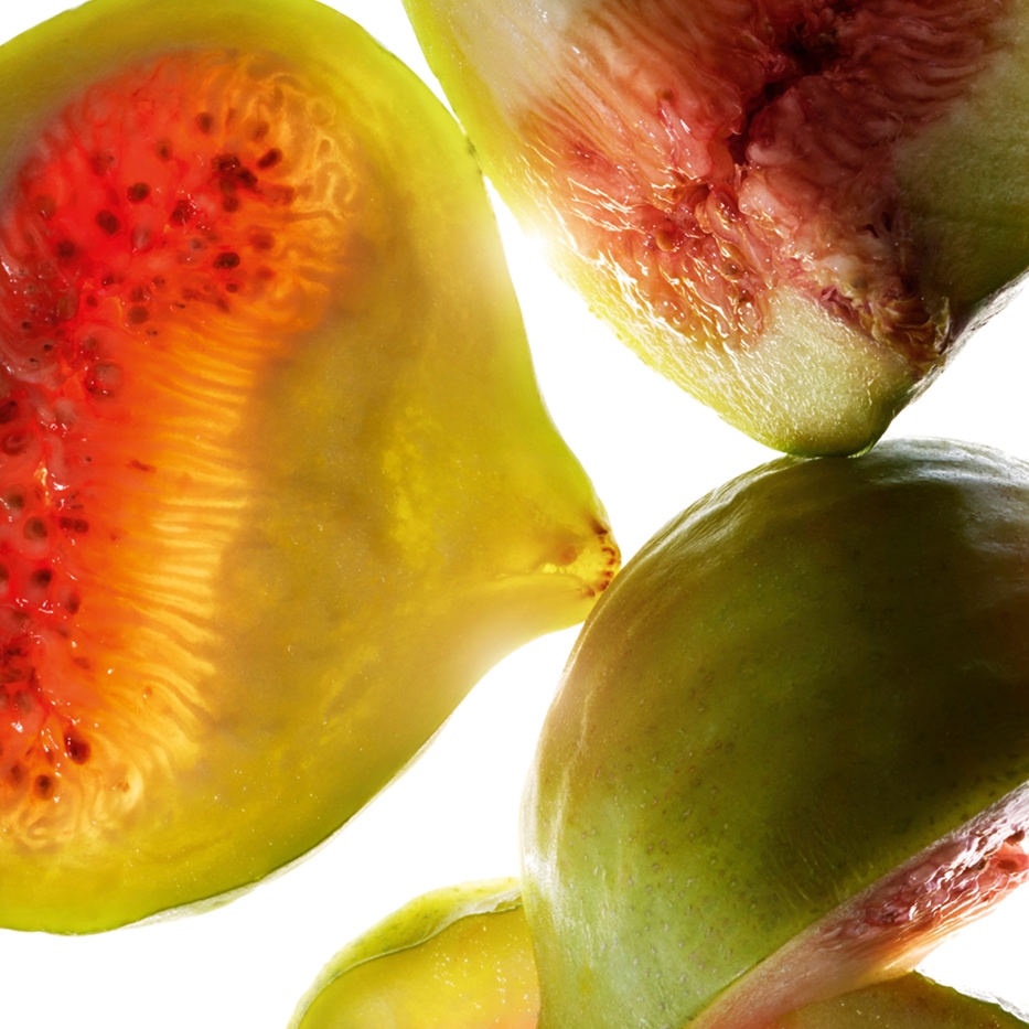 Higuera-Extracto de higo-Ficus carica (fig) fruit extract