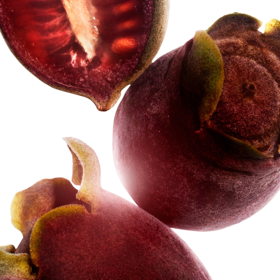 Rose-Myrtle-Extracto de rose-myrtle-Rhodomyrtus tomentosa fruit extract