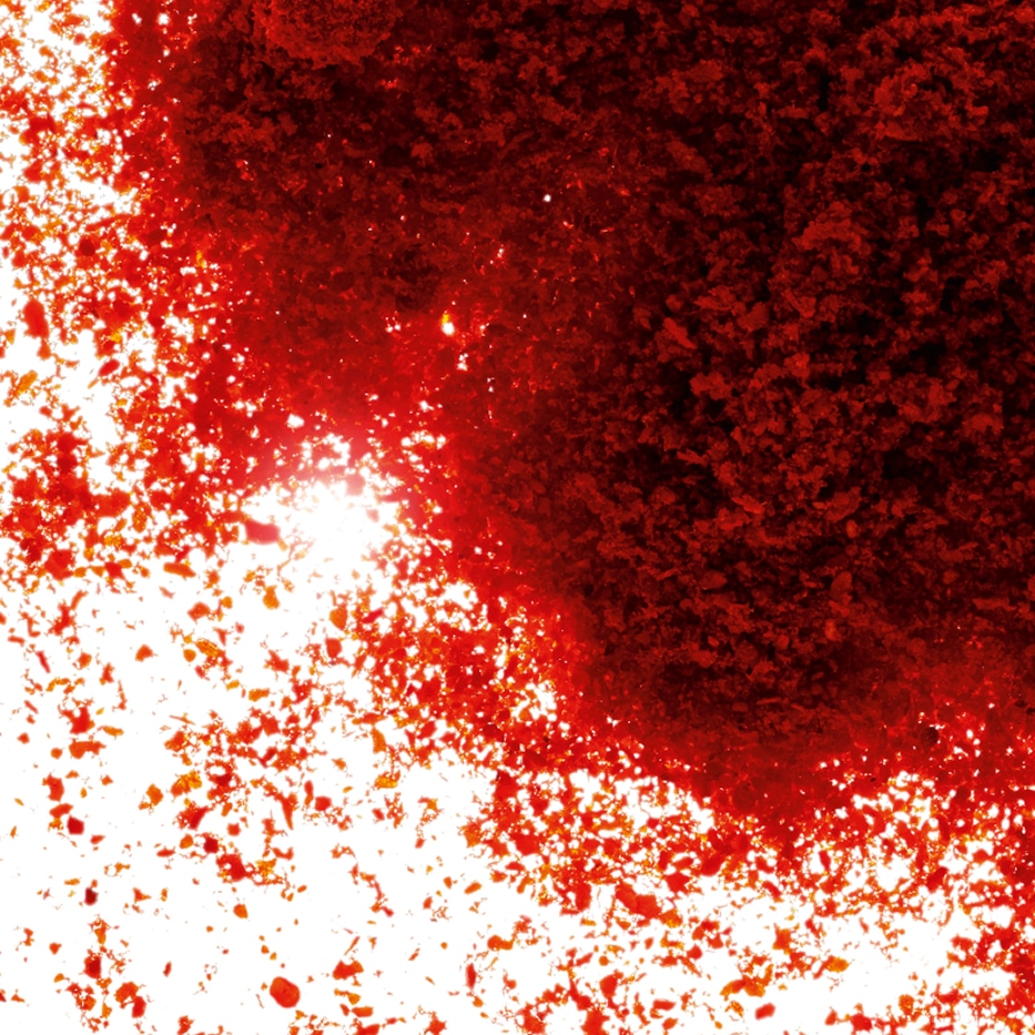 Paprika-Extracto de paprika-Capsicum annuum fruit extract