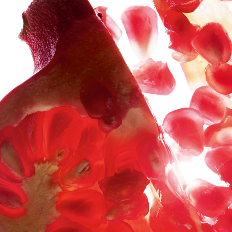 Granado-Extracto de granado (planta bio)-Punica granatum bark extract