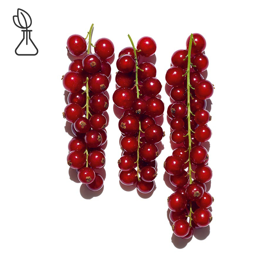 Grosella roja-Extracto de grosellero rojo bio-Ribes rubrum (currant) fruit extract
